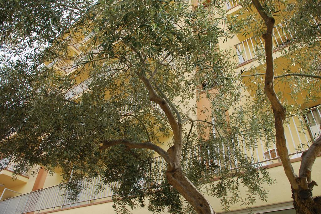 Hotel Stella Maris Blanes Bagian luar foto